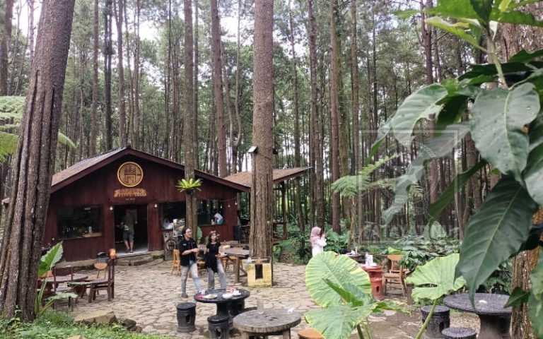 Gapuro Café dan Resort Sidomulyo, Wisata Alam Edukatif dengan Konsep Ngopi Sambil Beramal